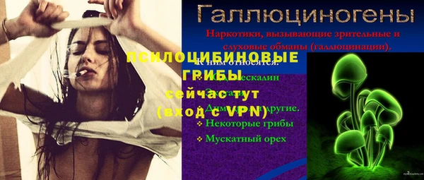 дмт Алзамай