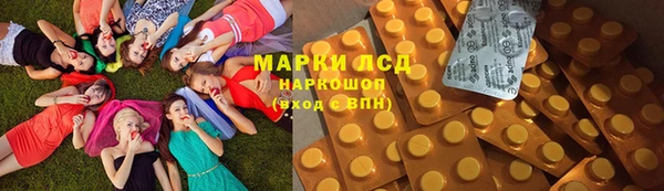 дмт Алзамай