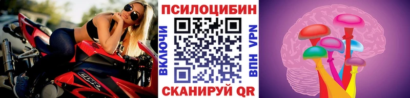 Псилоцибиновые грибы мицелий  как найти   Коряжма 